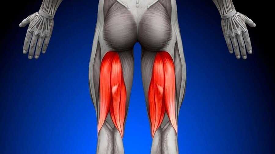 Основные упражнения для развития мышц спины